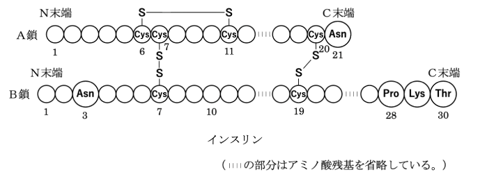 解説画像